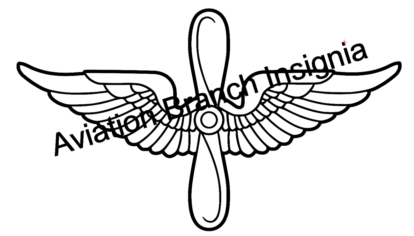 Army Aviation Company Guidon AND Branch Insignia (United States Army)
